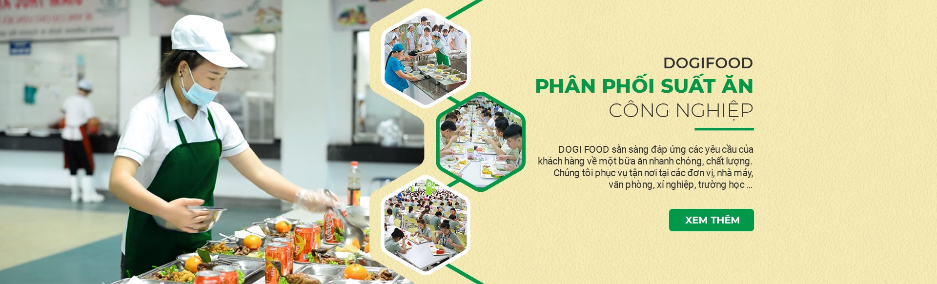 Banner DogiFood