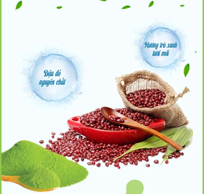 thành phần cấu tạo
