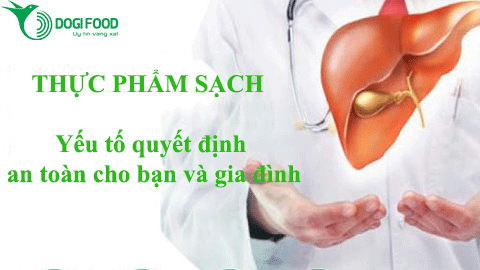 Top 5 món ăn lành mạnh cho sức khỏe ở đại lý thực phẩm DOGI FOOD