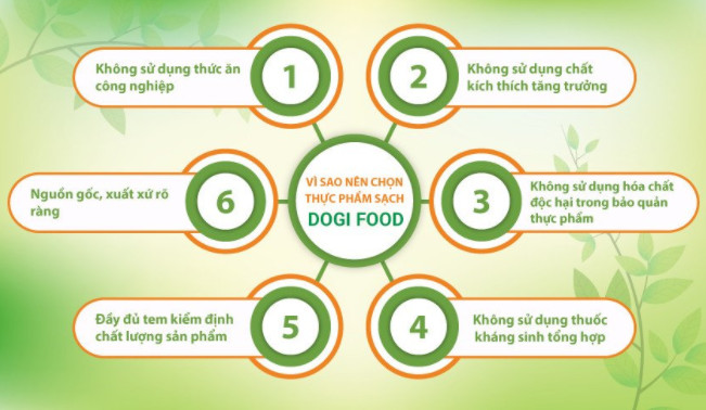 Top 5 món ăn lành mạnh cho sức khỏe ở đại lý thực phẩm DOGI FOOD