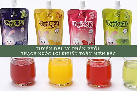 Tuyển đại lý phân phối Thạch nước lợi khuẩn toàn miền Bắc