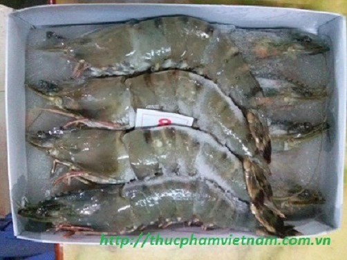 Tôm sú chưa hấp size 8 (570g)