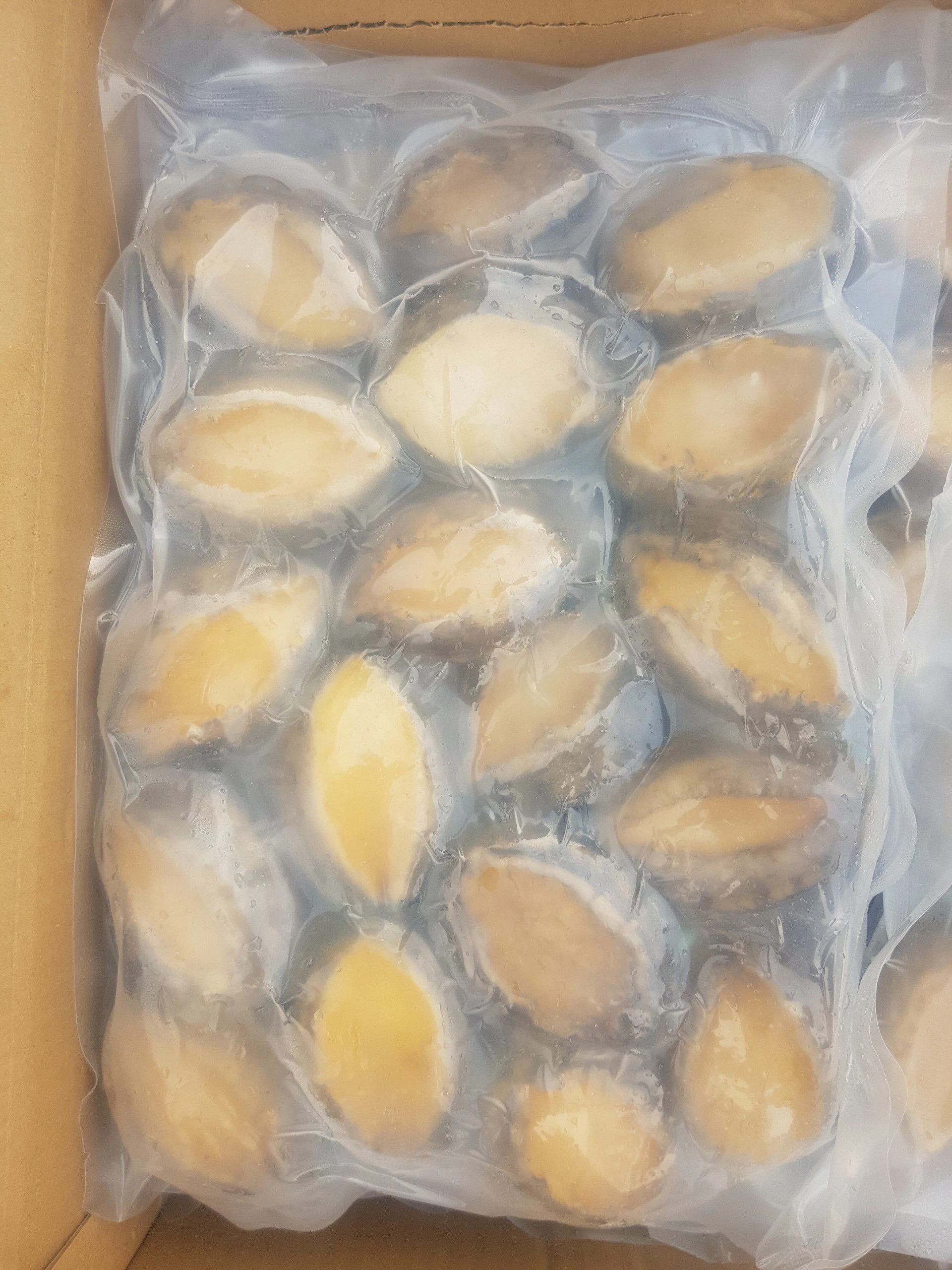 Bào ngư (size 18 con/ 1kg/ thùng 10kg)